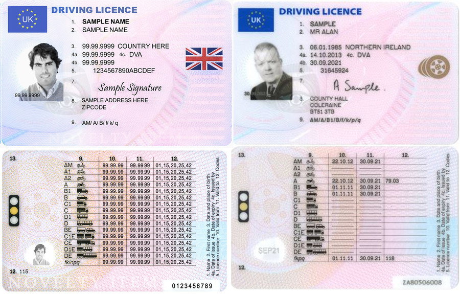Irish Driving Licence Template